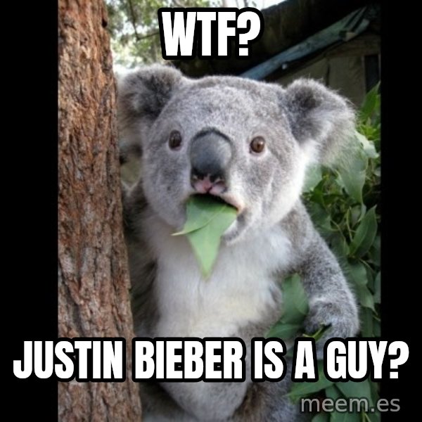 Koala can't believe it meme: wtf? / justin bieber is a guy?