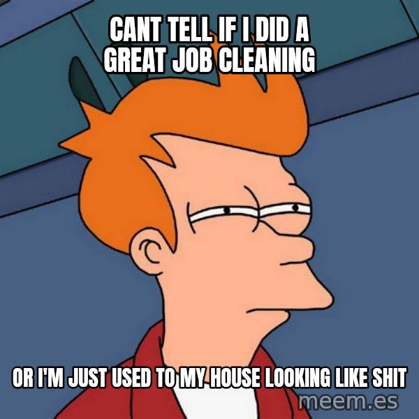 Futurama Fry meme: CANT TELL IF I DID A GREAT JOB CLEANING / OR I'M JUST USED TO MY HOUSE LOOKING LIKE SHIT