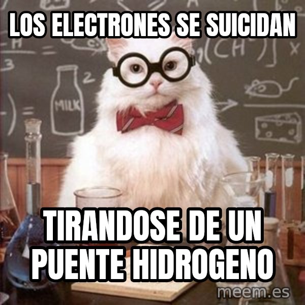 Chemistry Cat meme: Los electrones se suicidan / tirandose de un puente hidrogeno