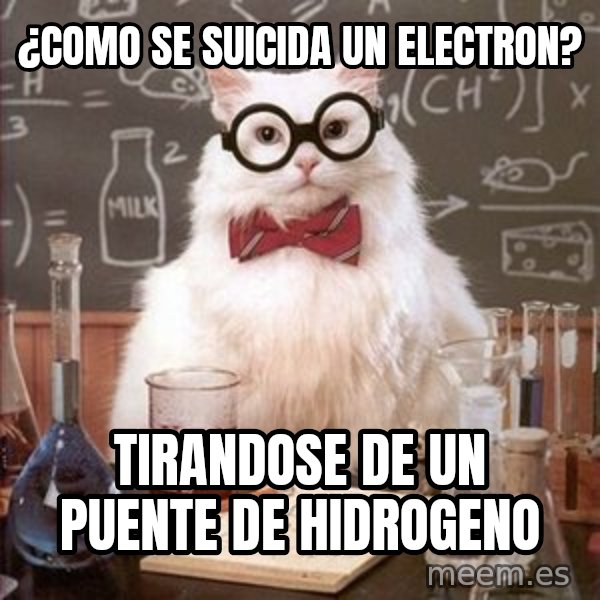 Chemistry Cat meme: ¿Como se suicida un electron? / Tirandose de un puente de hidrogeno