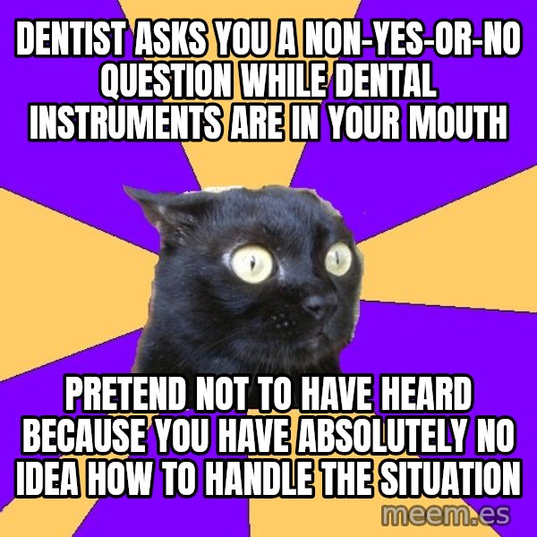 Anxiety Cat meme: Dentist Asks you a non-yes-or-no question while dental instruments are in your mouth / Pretend not to have heard because you have absolutely no idea how to handle the situation