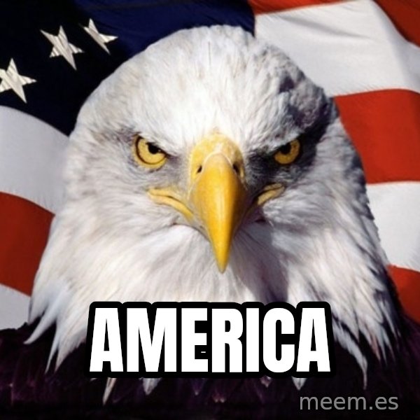 American Pride Eagle meme: america