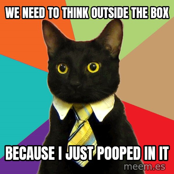 Business Cat meme: We need to think outside the box / Because I just pooped in it