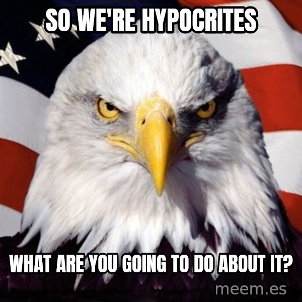 American Pride Eagle meme: so we're HYPOCRITES / What are you going to do about it?