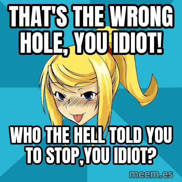 Horney Samus meme: That's the wrong hole, you idiot! / Who the hell told you to stop,you idiot?