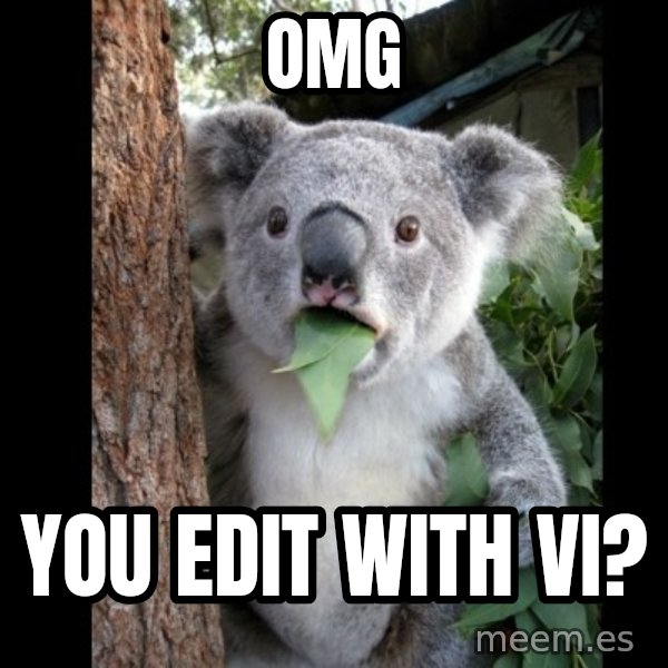Koala can't believe it meme: OMG / YOU edit with vi?