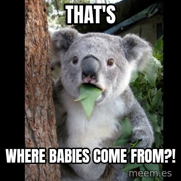 Koala can't believe it meme: That's / Where babies come from?!