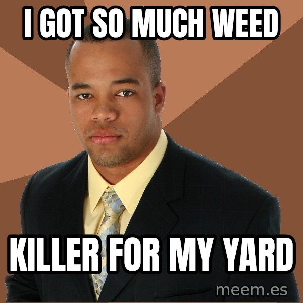 Successful Black Man meme: i got so much weed / killer for my yard