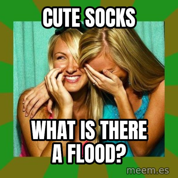 Laughing Girls  meme: cute socks / what is there a flood?