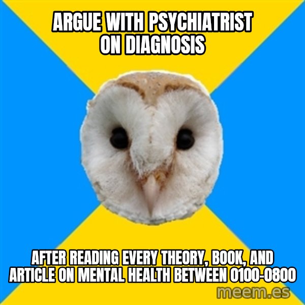 Bipolar Owl meme: Argue with psychiatrist on diagnosis / after reading every theory, book, and article on mental health between 0100-0800