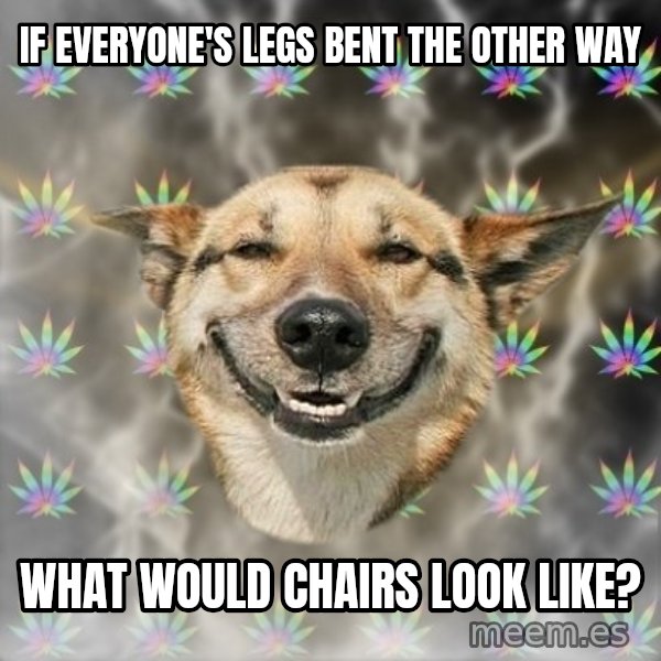 Stoner Dog meme: if everyone's legs bent the other way / what would chairs look like?