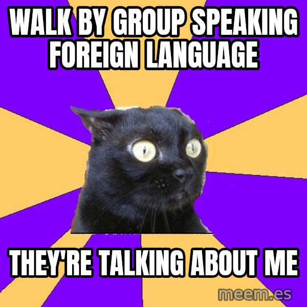Anxiety Cat meme: walk by group speaking foreign language / they're talking about me