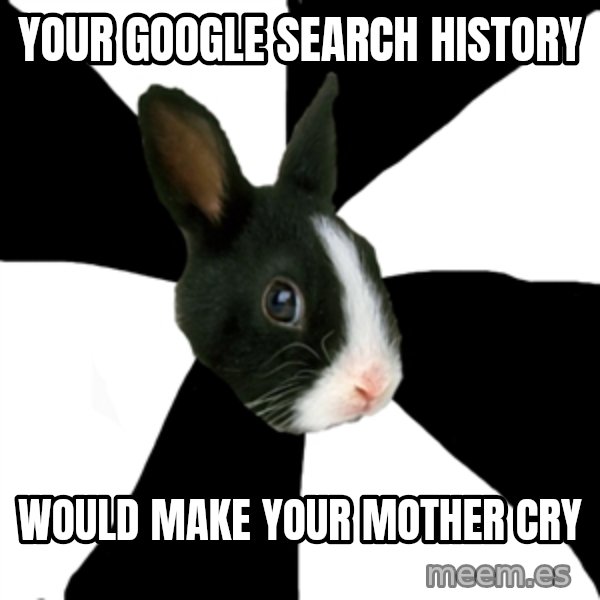 Roleplaying Rabbit meme: your google search history / would make your mother cry
