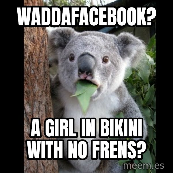 Koala can't believe it meme: WaddaFacebook? / a girl in bikini with no frens?