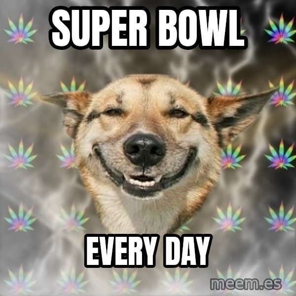 Stoner Dog meme: Super Bowl / every day