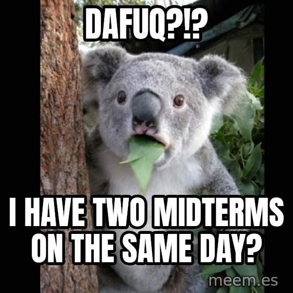 Koala can't believe it meme: Dafuq?!? / I have two midterms on the same day?