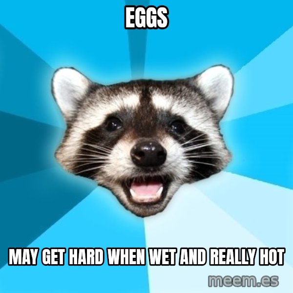 Lame Pun Coon meme: Eggs / May Get hard when wet and really hot