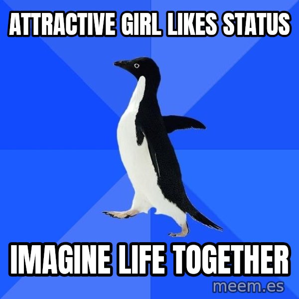 Socially Awkward Penguin meme: attractive girl likes status / imagine life together