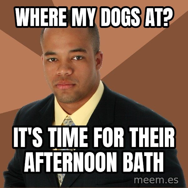 Successful Black Man meme: where my dogs at? / it's time for their afternoon bath