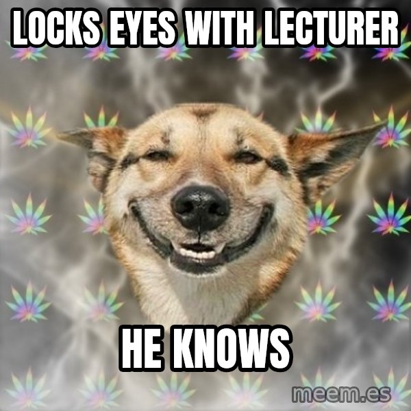 Stoner Dog meme: Locks eyes with lecturer / he knows