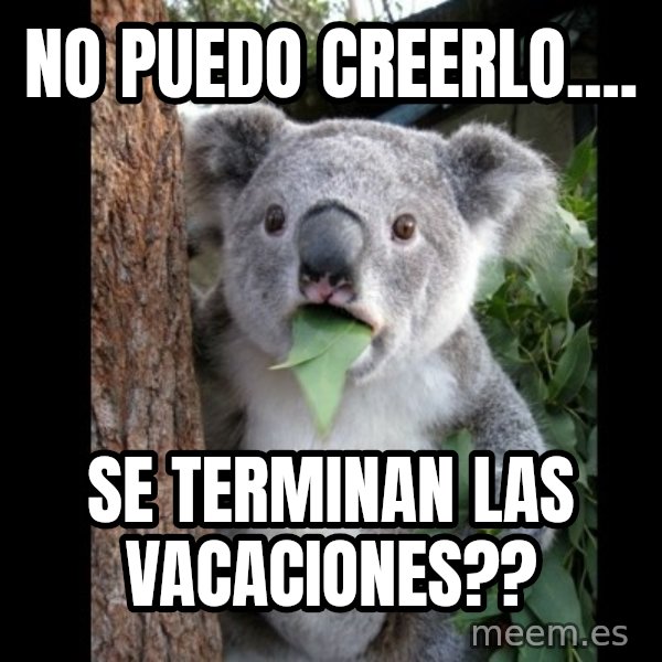 Koala can't believe it meme: no puedo creerlo.... / se terminan las vacaciones??