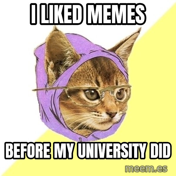 Hipster Kitty meme: I liked memes / Before my university did