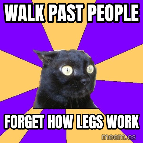 Anxiety Cat meme: Walk past people / Forget how legs work