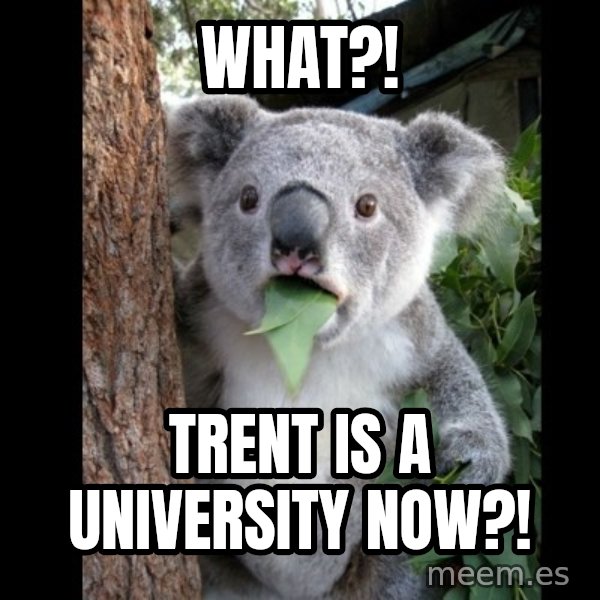 Koala can't believe it meme: What?! / Trent is a University now?!