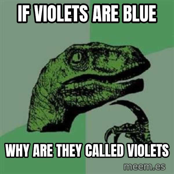 Philosoraptor meme: If violets are blue / why are they called violets