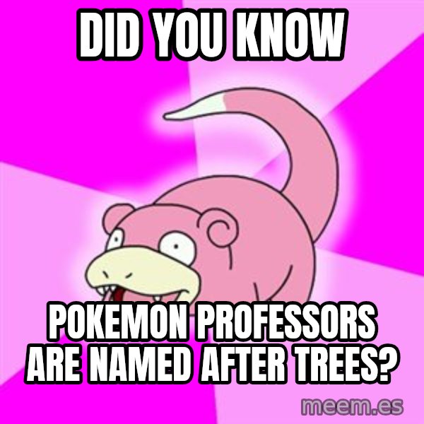 Slowpoke meme: did you know / pokemon professors are named after trees?