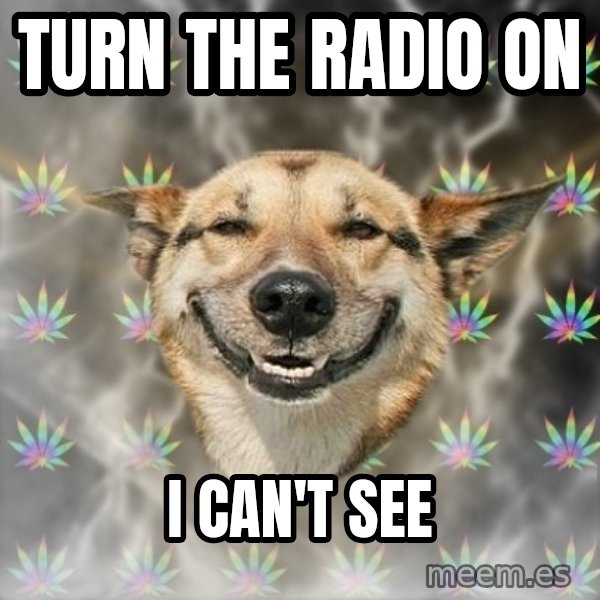 Stoner Dog meme: Turn THE RADIO ON / I can't SEE