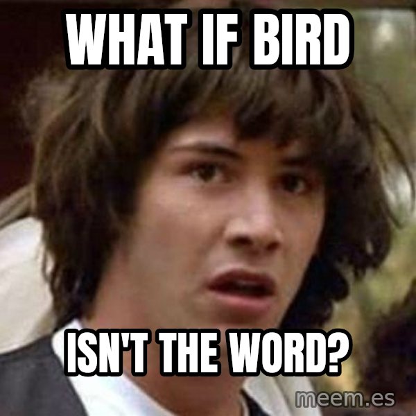 Conspiracy Keanu meme: WHAT IF BIRD / ISN'T THE WORD?