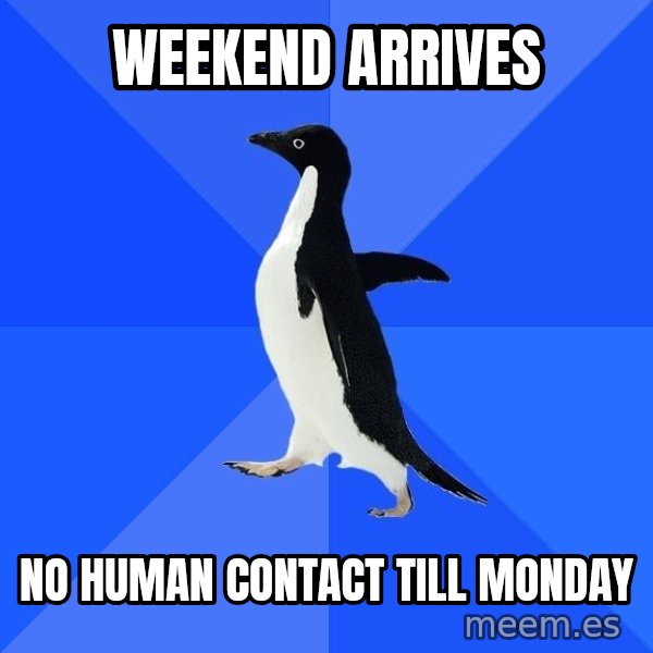 Socially Awkward Penguin meme: weekend arrives / no human contact till monday