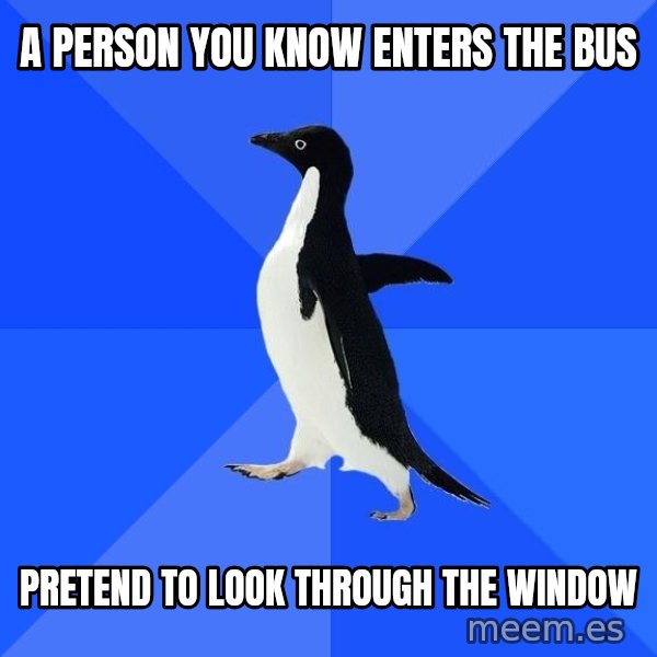 Socially Awkward Penguin meme: a person you know enters the bus / pretend to look through the window
