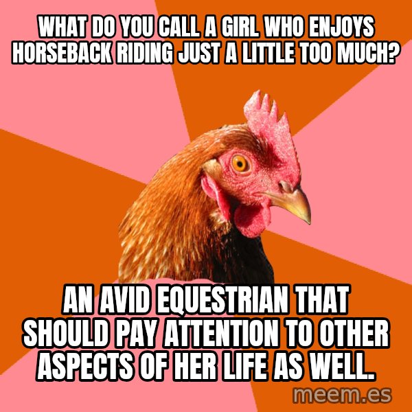 Anti Joke Chicken meme: what do you call a girl who enjoys horseback riding just a little too much? / an avid equestrian that should pay attention to other aspects of her life as well.