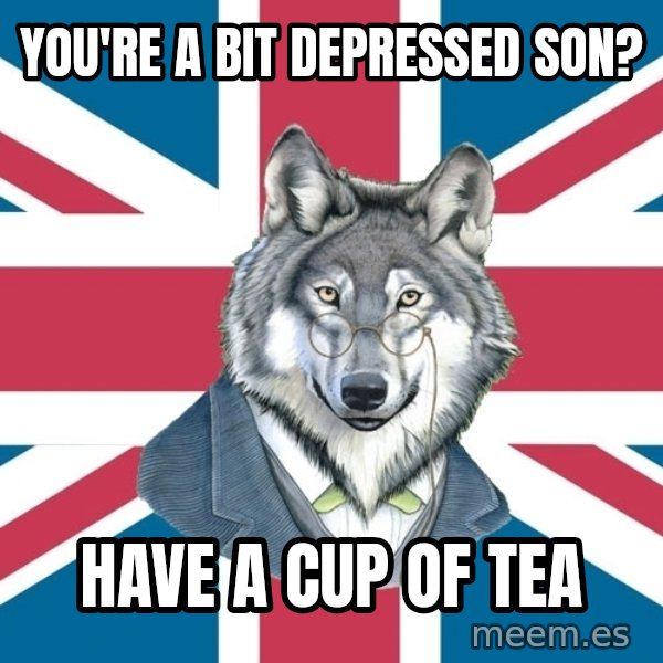Sir Courage Wolf Esquire meme: You're a bit depressed son? / Have a cup of tea