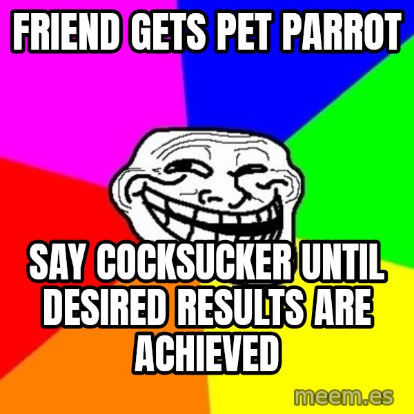 Trollface meme: friend gets pet parrot / say   cocksucker    until desired   results  are  achieved