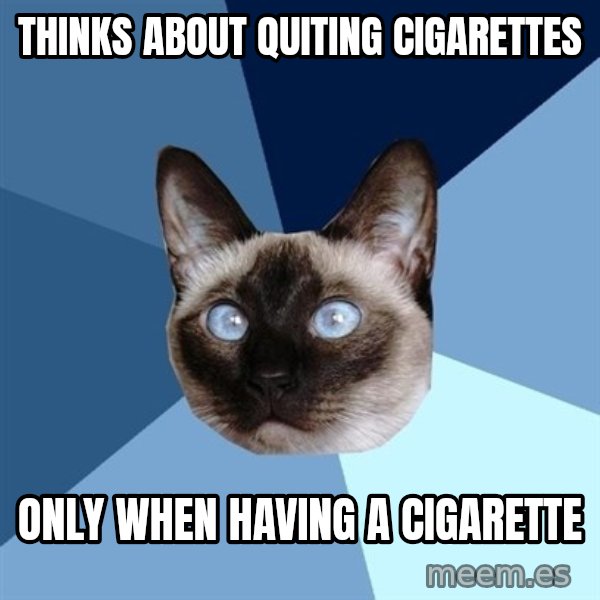Chronic Illness Cat meme: thinks about quiting cigarettes / Only when having a cigarette