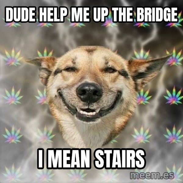 Stoner Dog meme: DUDE HELP ME UP THE BRIDGE / I MEAN STAIRS