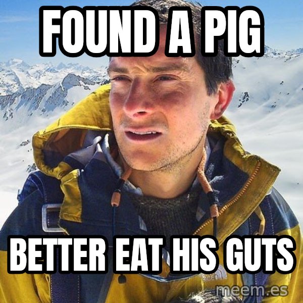 Bear Grylls meme: found a pig / better eat his guts