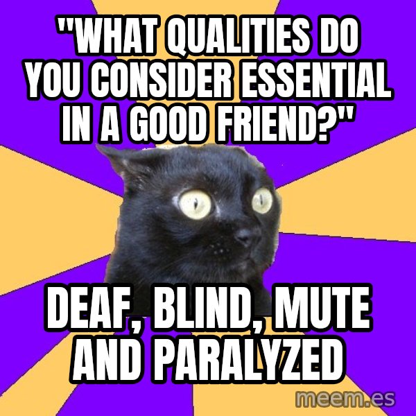 Anxiety Cat meme: "What qualities do you consider essential in a good friend?" / deaf, blind, mute and paralyzed