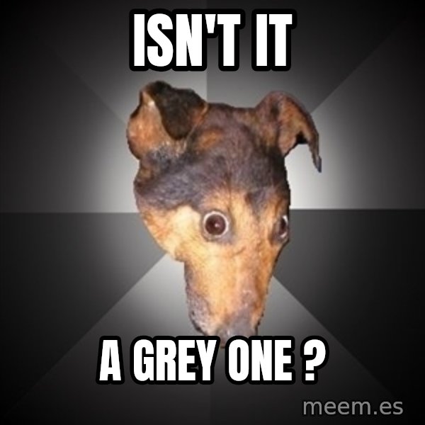 Depression Dog meme: Isn't it / A GREY ONE ?