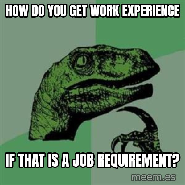Philosoraptor meme: How do You get Work Experience / if that is a job requirement?