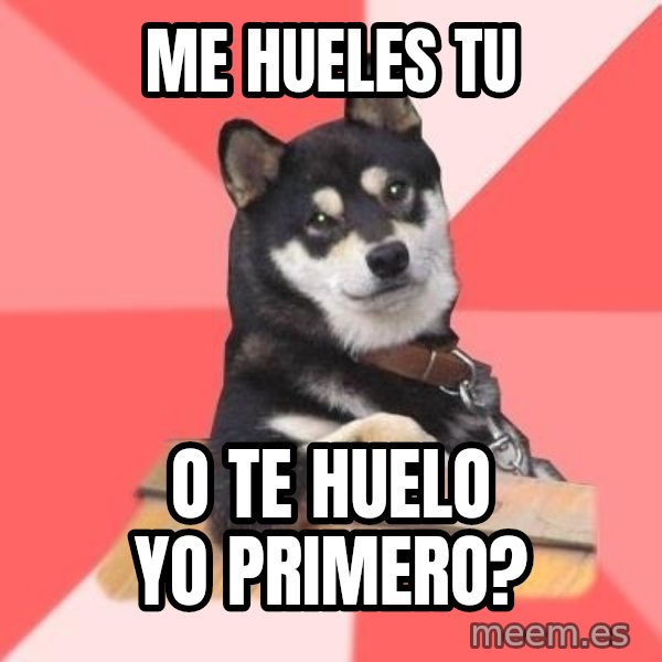 Cool Dog meme: ME HUELES TU / O TE HUELO YO PRIMERO?