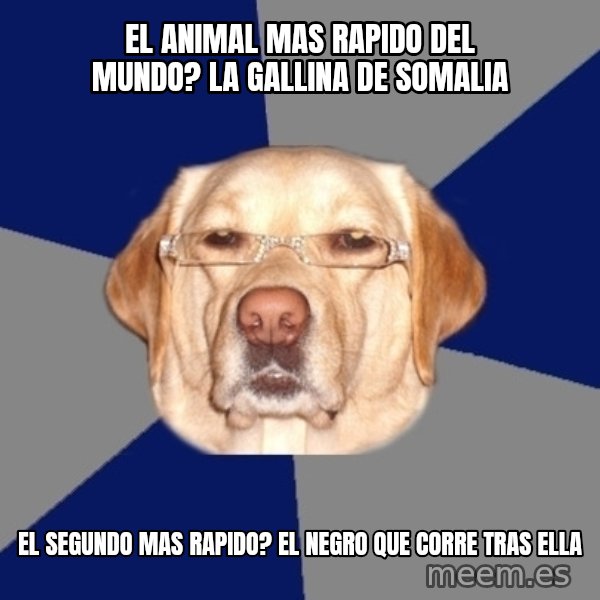 Racist Dawg meme: EL ANIMAL MAS RAPIDO DEL MUNDO? LA GALLINA DE SOMALIA / EL SEGUNDO MAS RAPIDO? EL NEGRO QUE CORRE TRAS ELLA
