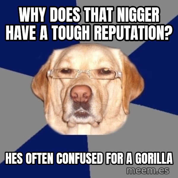 Racist Dawg meme: why does that nigger have a tough reputation? / hes often confused for a gorilla
