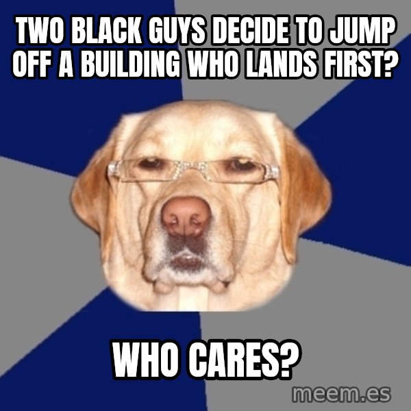 Racist Dog meme: two black guys decide to jump off a building who lands first? / who cares?