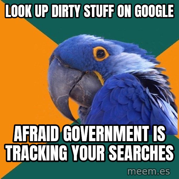 Paranoid Parrot meme: look up dirty stuff on google / afraid government is tracking your searches