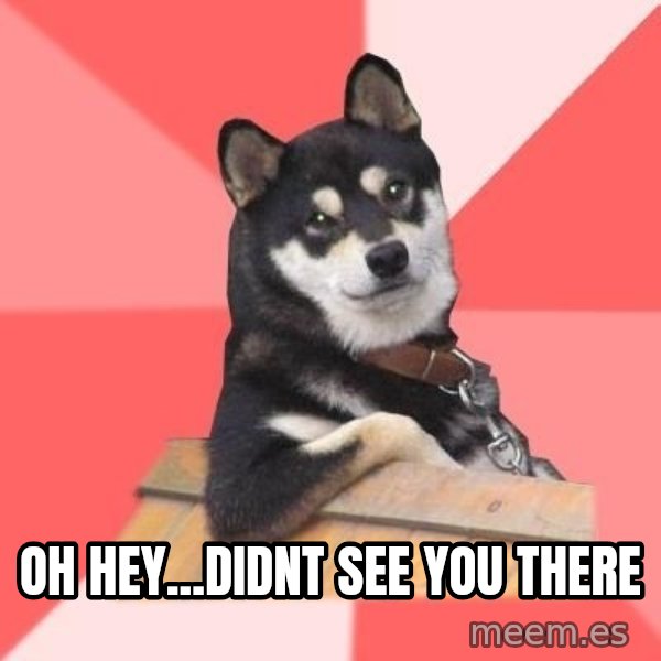 Cool Dog meme: Oh hey...Didnt see you there