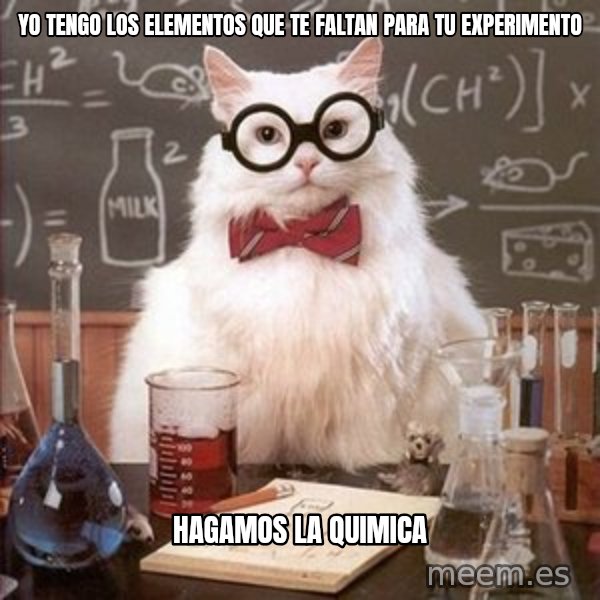 Chemistry Cat meme: yo tengo los elementos  que te faltan para tu experimento / hagamos la quimica